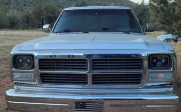 Dodge-Diesel-1992-silver-273266-2