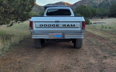 Dodge-Diesel-1992-silver-273266-3