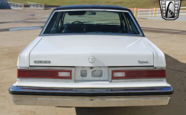 Dodge-Diplomat-Berline-1984-White-Gray-78459-5