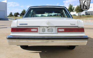 Dodge-Diplomat-Berline-1984-White-Gray-78459-6