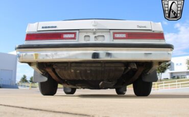 Dodge-Diplomat-Berline-1984-White-Gray-78459-7