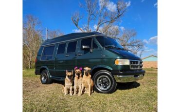 Dodge High Roof Luxury  1995