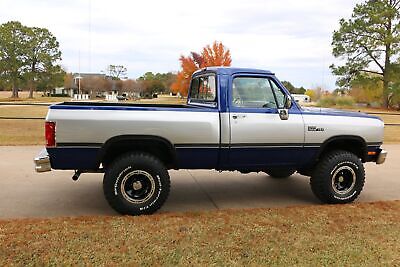 Dodge-Other-Pickups-1992-Blue-Gray-127138-2