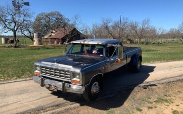 Dodge-Other-Pickups-Pickup-1985-9