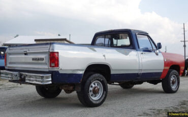 Dodge-Other-Pickups-Pickup-1990-Other-Gray-162512-12