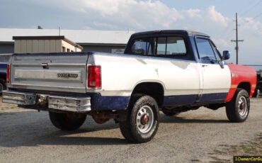 Dodge-Other-Pickups-Pickup-1990-Other-Gray-162512-22