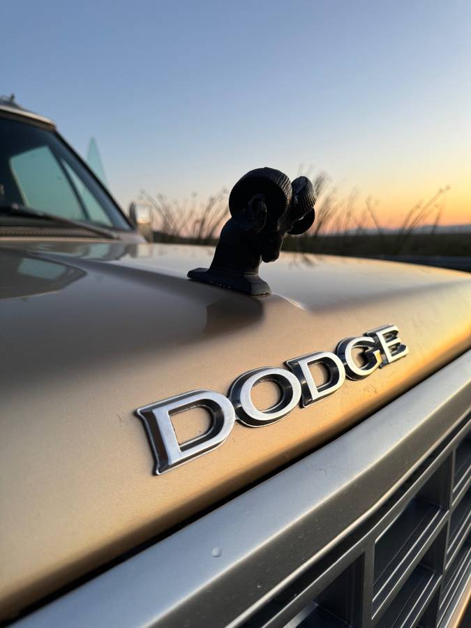 Dodge-Prospector-1985-276806-2