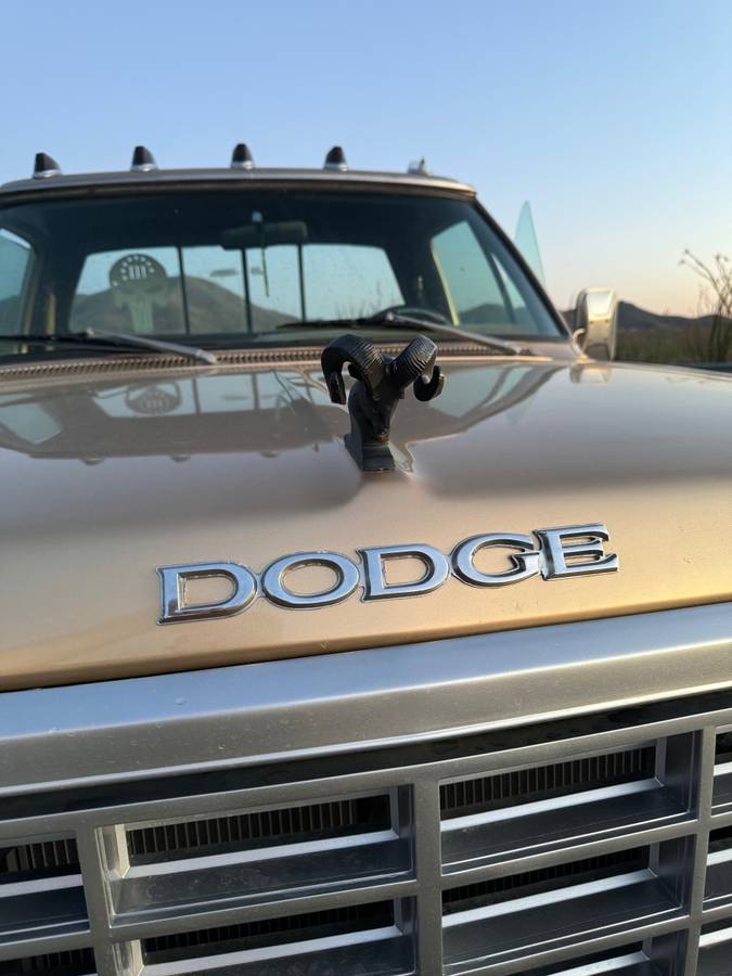 Dodge-Prospector-1985-276806-3