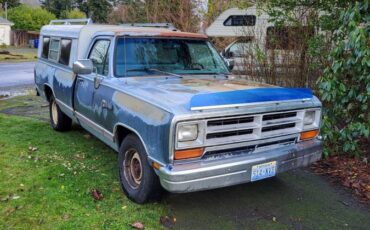 Dodge-Ram-100-1989-blue-163626-1