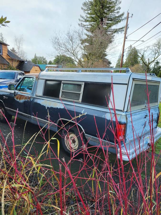 Dodge-Ram-100-1989-blue-163626-2