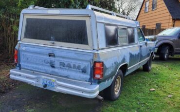 Dodge-Ram-100-1989-blue-163626-3