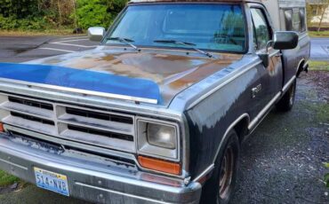 Dodge-Ram-100-1989-blue-163626