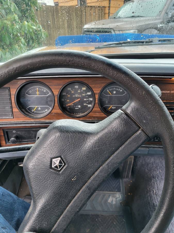 Dodge-Ram-100-1989-blue-163626-9