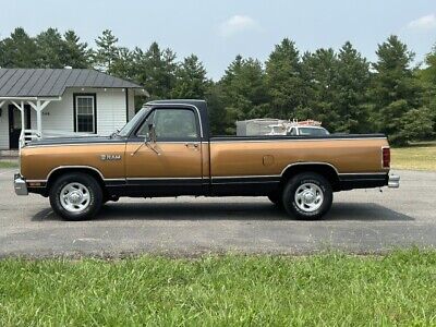 Dodge-Ram-1500-Pickup-1986-Gold-142512-7