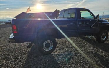 Dodge-Ram-2500-laramie-slt-5.9l-i6-f-diesel-manual-we-1994-blue-162922-3