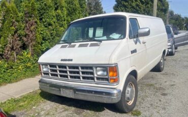 Dodge-Ram-3500-club-cab-1989-white-152887-6