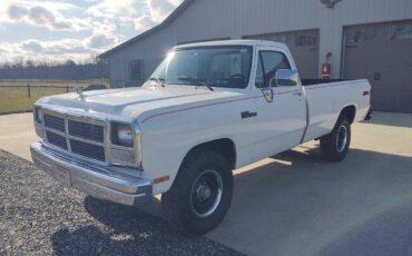 Dodge-Ram-d250-4x4-1991-6