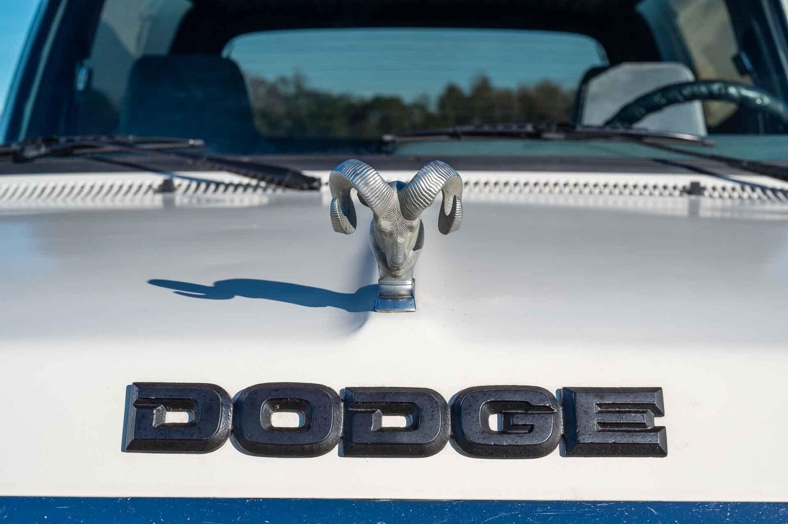 Dodge-Ramcharger-1990-23