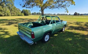 Dodge-Ramcharger-Cabriolet-1976-1