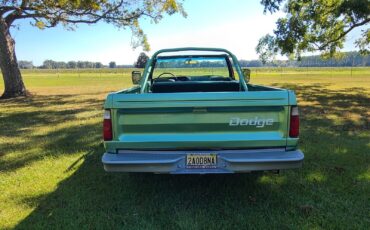 Dodge-Ramcharger-Cabriolet-1976-2