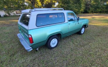 Dodge-Ramcharger-Cabriolet-1976-25