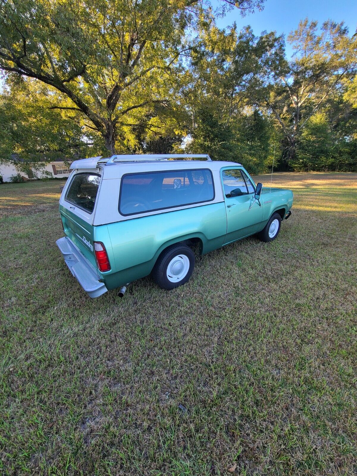 Dodge-Ramcharger-Cabriolet-1976-25