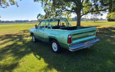 Dodge-Ramcharger-Cabriolet-1976-3