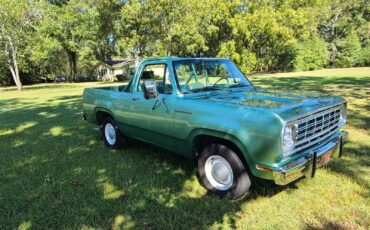 Dodge-Ramcharger-Cabriolet-1976-5