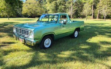 Dodge-Ramcharger-Cabriolet-1976-6