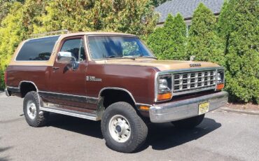 Dodge-Ramcharger-SUV-1987-Tan-166567-1