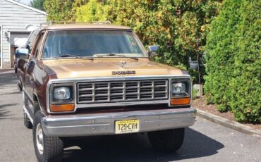 Dodge-Ramcharger-SUV-1987-Tan-166567-2