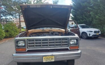 Dodge-Ramcharger-SUV-1987-Tan-166567-3