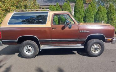 Dodge-Ramcharger-SUV-1987-Tan-166567-7