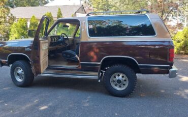 Dodge-Ramcharger-SUV-1987-Tan-166567-8