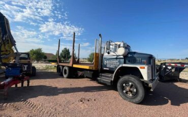 Dodge-Truck-diesel-1973-22