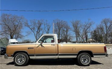 Dodge-Trucks-1987-90123-1