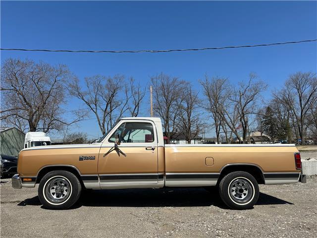 Dodge-Trucks-1987-90123-1