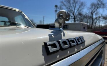 Dodge-Trucks-1987-90123-14