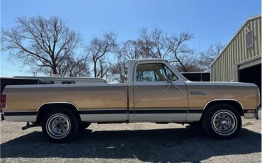 Dodge-Trucks-1987-90123-16