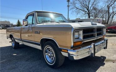 Dodge-Trucks-1987-90123-3