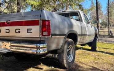 Dodge-W250-diesel-1991-silver-357273-2