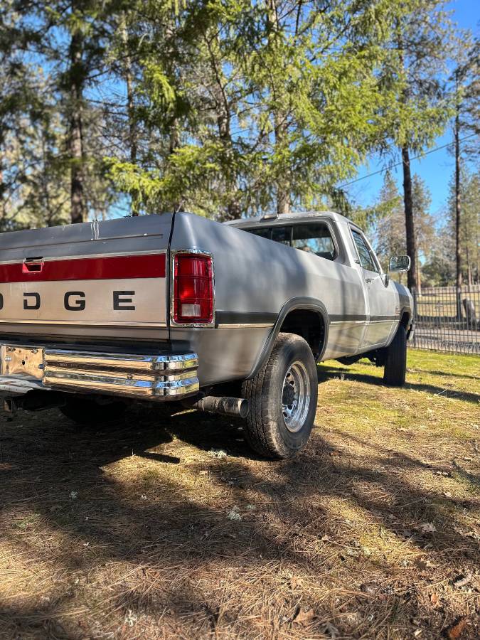 Dodge-W250-diesel-1991-silver-357273-2