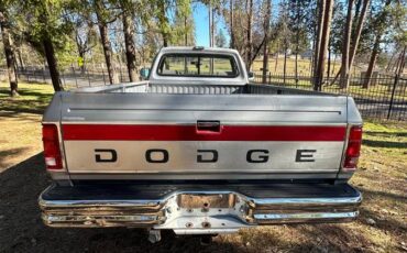 Dodge-W250-diesel-1991-silver-357273-7