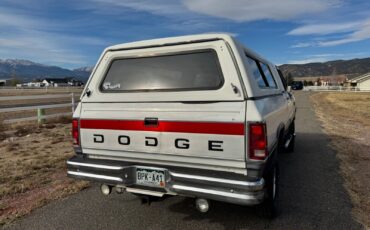 Dodge-W300-Series-1992-6