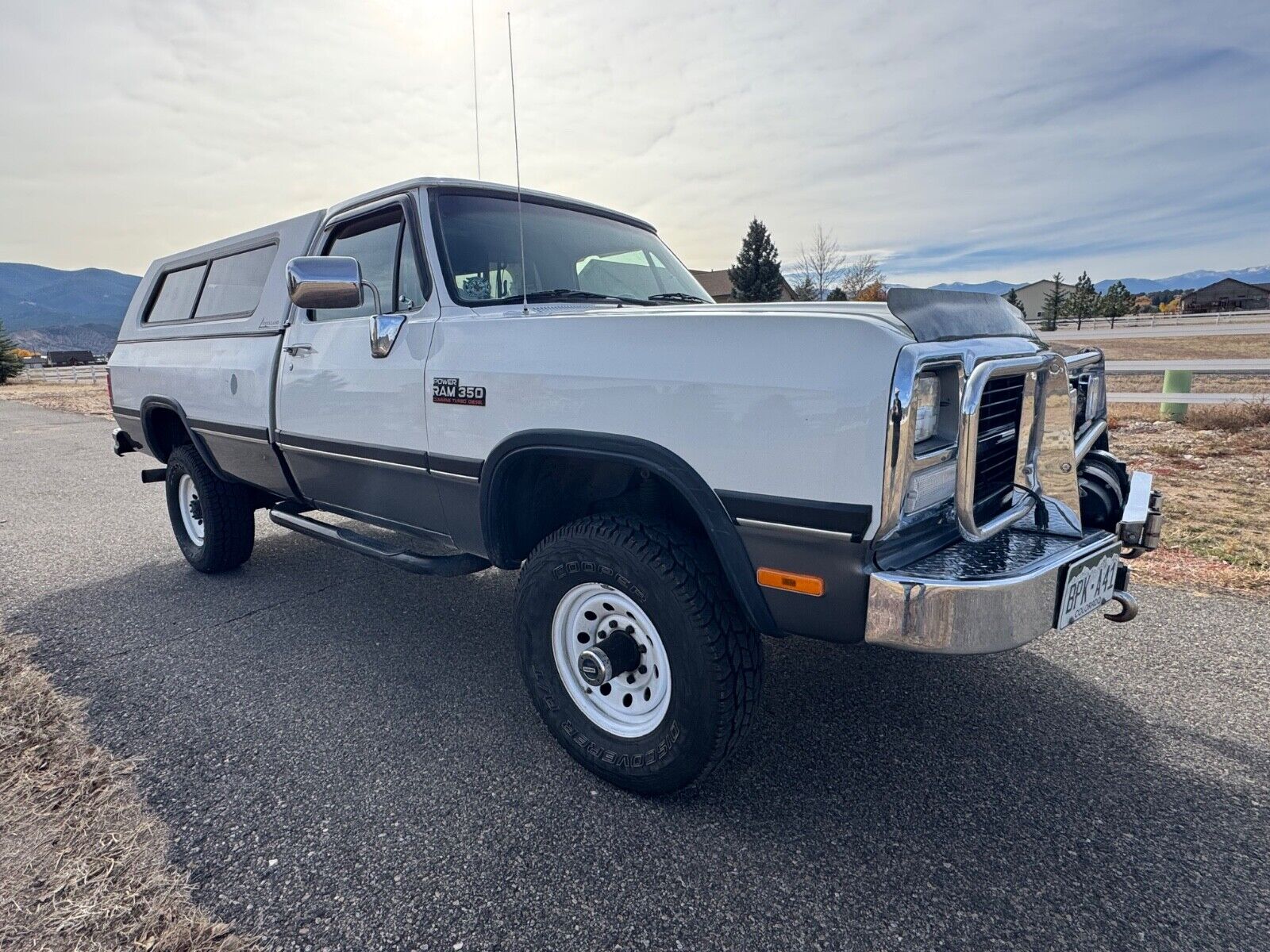 Dodge-W300-Series-1992-8