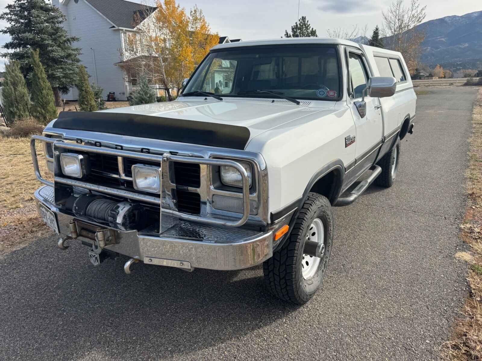 Dodge W300 Series  1992