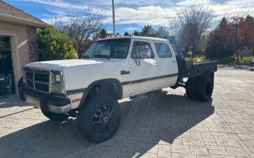 Dodge-W350-diesel-1993-265541-1