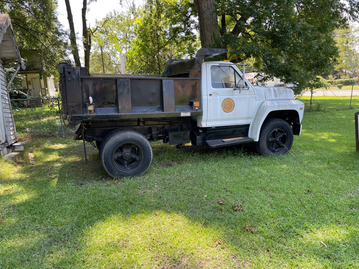 Ford-1980-white-16093-1