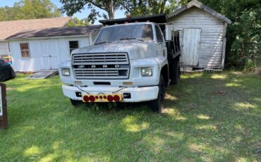 Ford-1980-white-16093-2