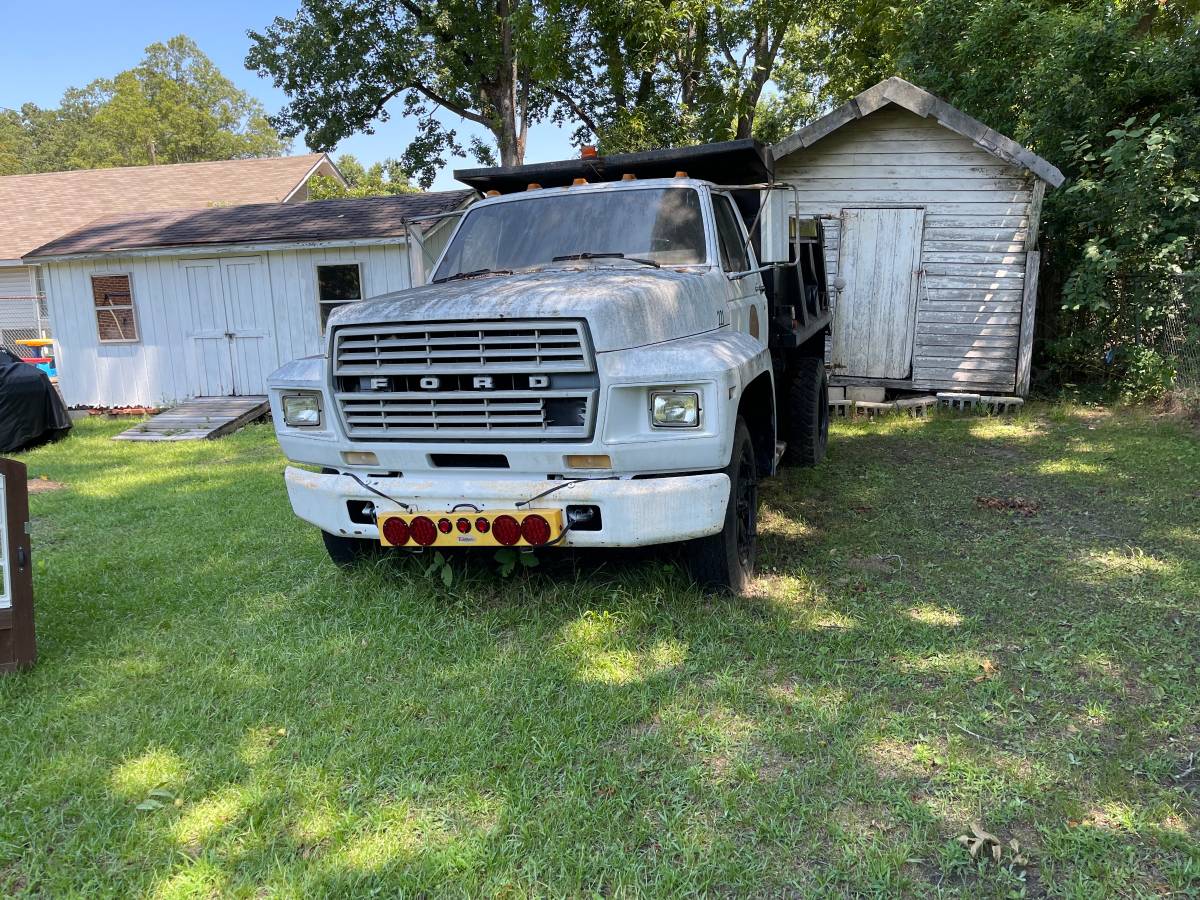 Ford-1980-white-16093-2